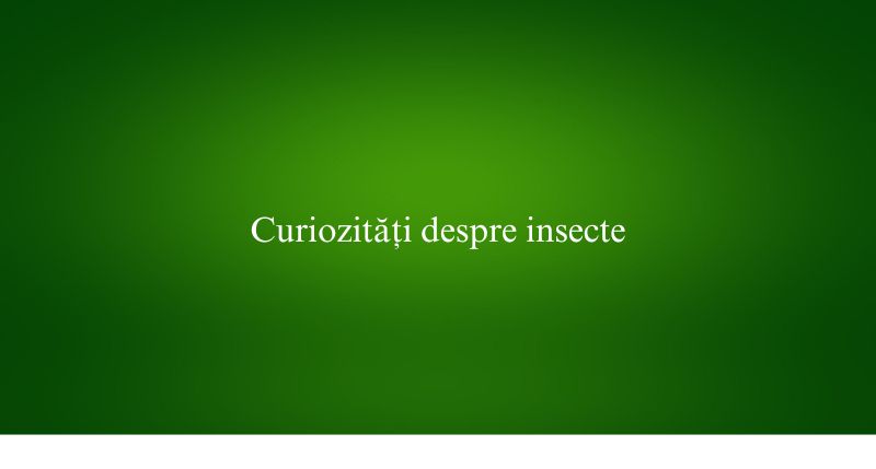 Curiozități despre insecte