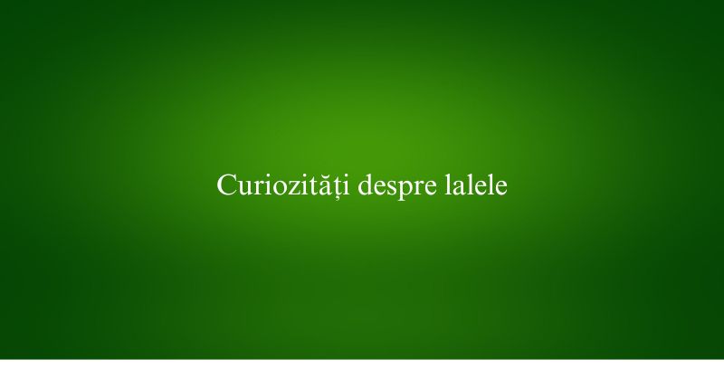 Curiozități despre lalele