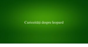Curiozități despre leopard