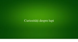 Curiozități despre lupi