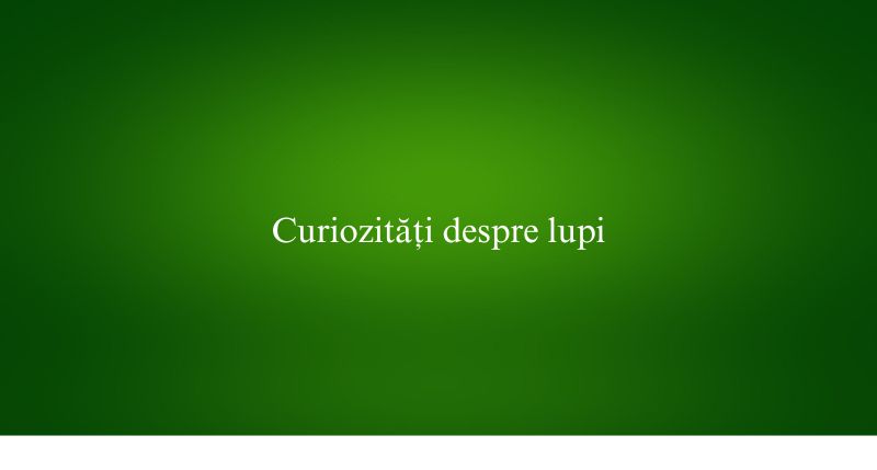 Curiozități despre lupi