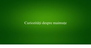 Curiozități despre maimuțe