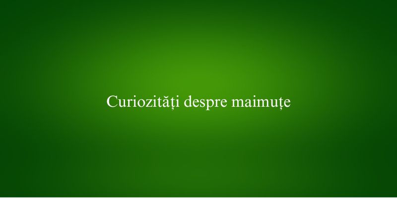 Curiozități despre maimuțe