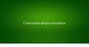 Curiozități despre mamifere