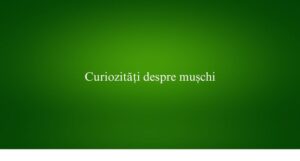 Curiozități despre mușchi