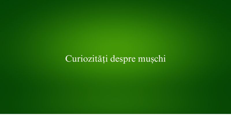 Curiozități despre mușchi