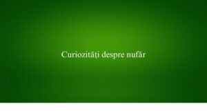 Curiozități despre nufăr