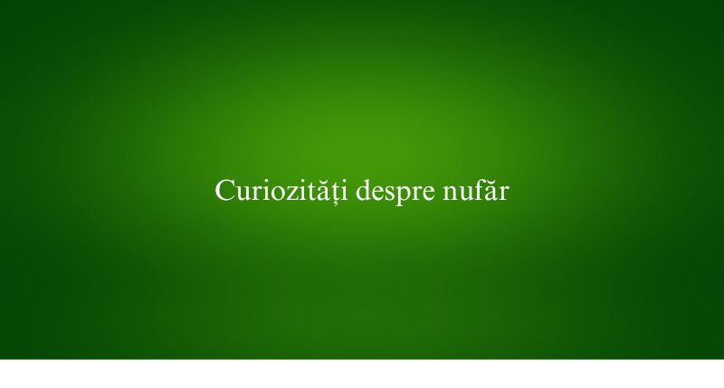 Curiozități despre nufăr