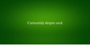 Curiozități despre orcă