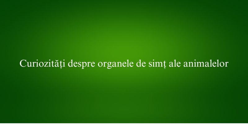 Curiozități despre organele de simț ale animalelor