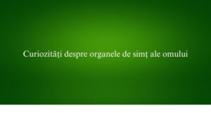 Curiozități despre organele de simț ale omului