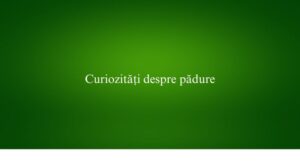 Curiozități despre pădure