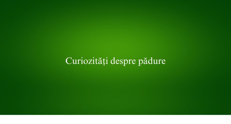 Curiozități despre pădure