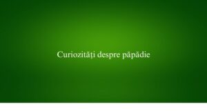 Curiozități despre păpădie