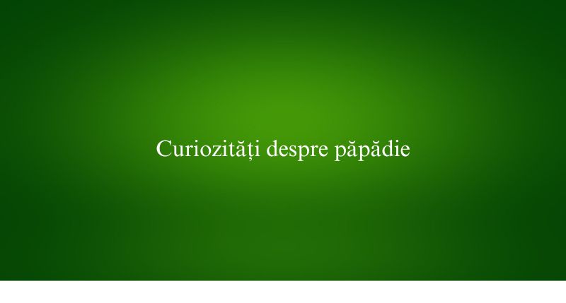 Curiozități despre păpădie