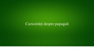 Curiozități despre papagali