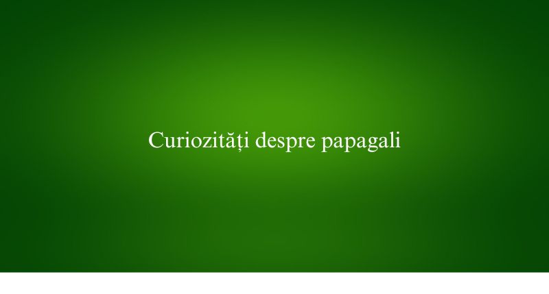 Curiozități despre papagali
