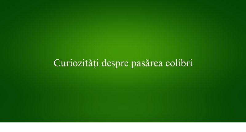 Curiozități despre pasărea colibri