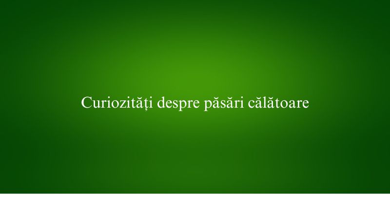 Curiozități despre păsări călătoare