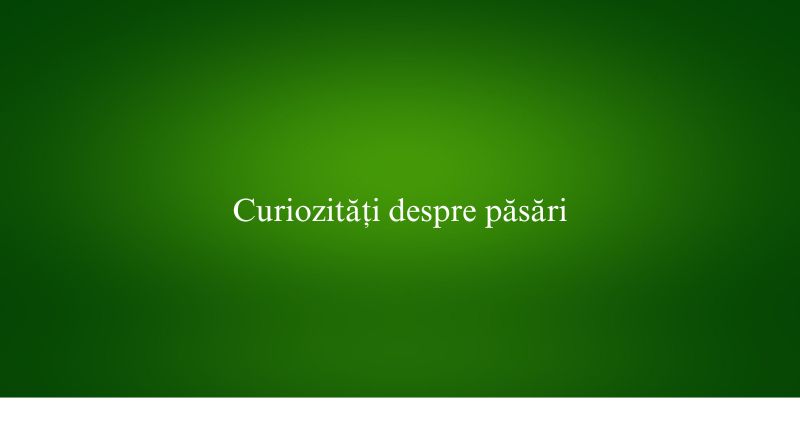 Curiozități despre păsări