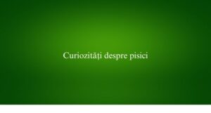 Curiozități despre pisici