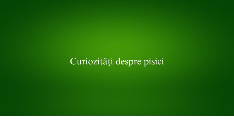 Curiozități despre pisici