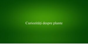 Curiozități despre plante