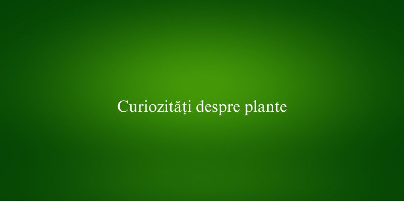 Curiozități despre plante