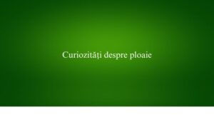 Curiozități despre ploaie