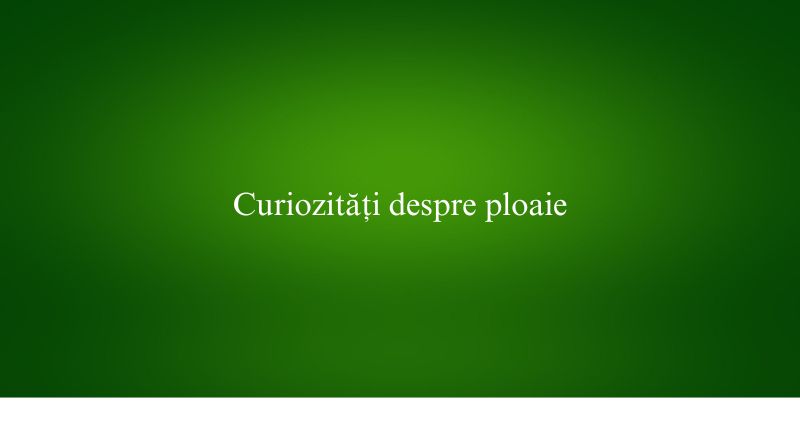 Curiozități despre ploaie