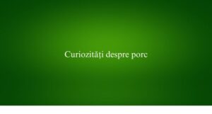Curiozități despre porc