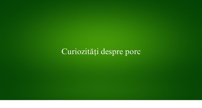 Curiozități despre porc