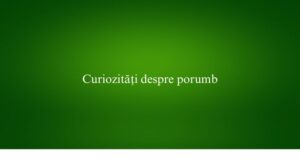 Curiozități despre porumb