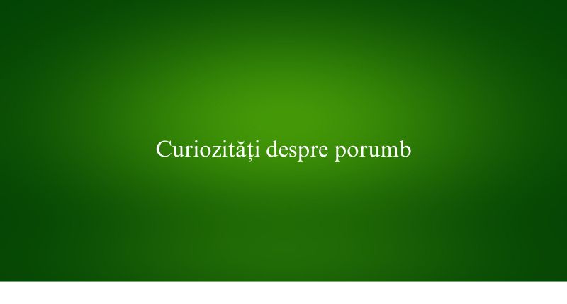 Curiozități despre porumb