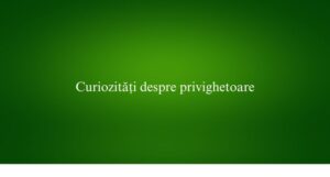 Curiozități despre privighetoare