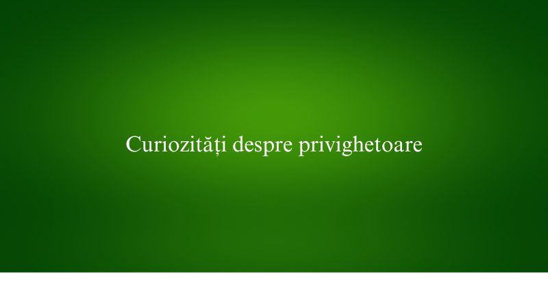 Curiozități despre privighetoare