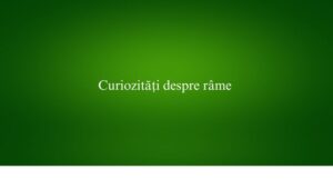 Curiozități despre râme