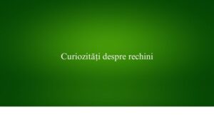 Curiozități despre rechini