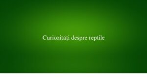 Curiozități despre reptile