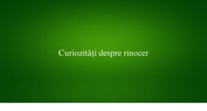 Curiozități despre rinocer