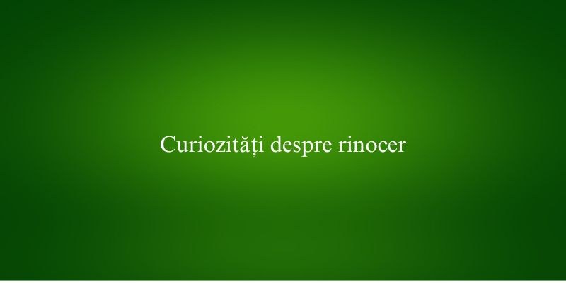 Curiozități despre rinocer