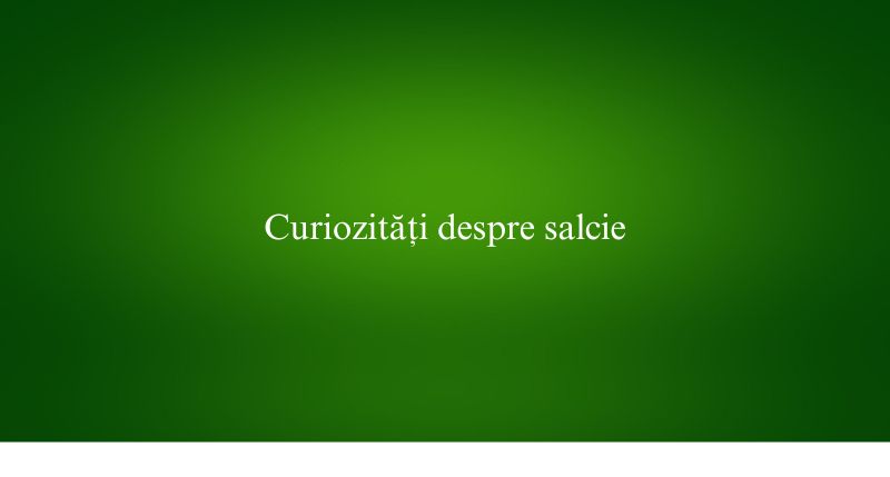 Curiozități despre salcie