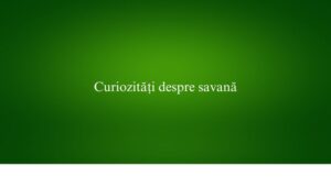 Curiozități despre savană