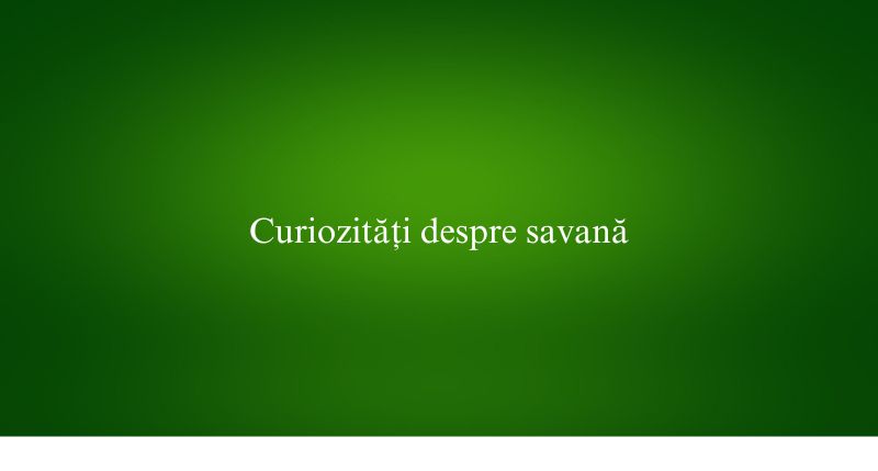 Curiozități despre savană
