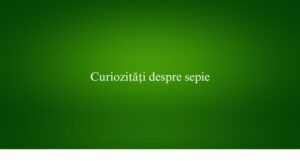 Curiozități despre sepie