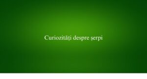 Curiozități despre șerpi