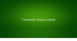 Curiozități despre șopârle