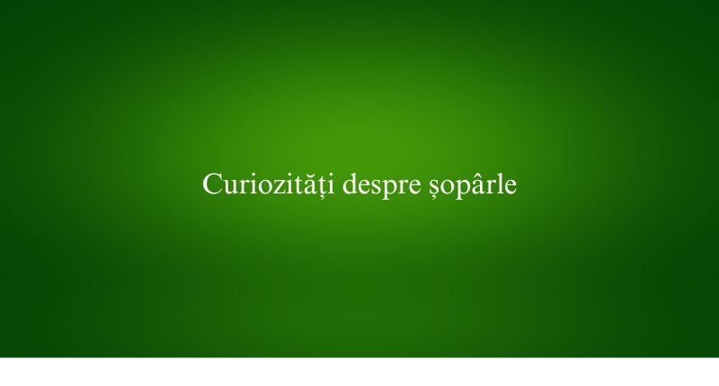 Curiozități despre șopârle