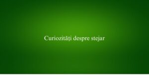 Curiozități despre stejar
