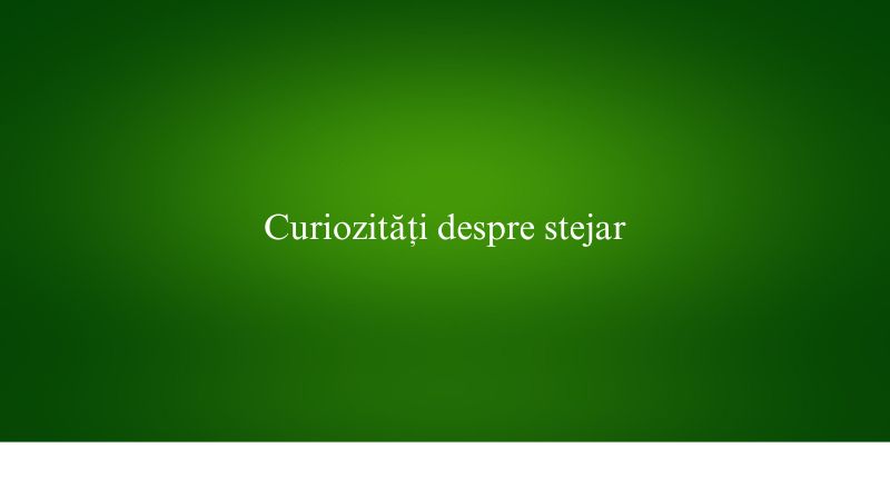 Curiozități despre stejar